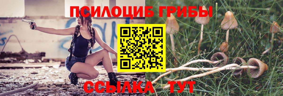 Галлюциногенные грибы Psilocybine cubensis  Вход с VPN  Усть-Илимск  Галлюциногенные грибы ЛСД 