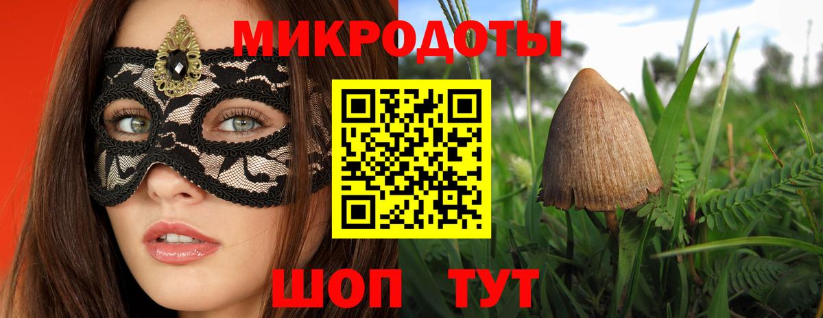 Псилоцибиновые грибы Psilocybe Усть-Илимск